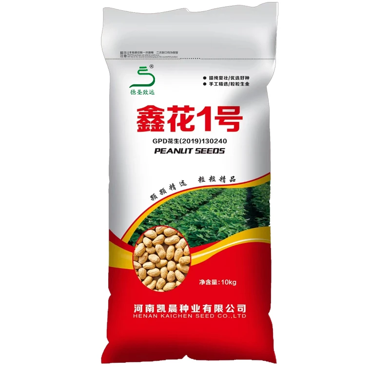 鑫花1号优质花生品种株型紧凑 抗旱抗锈病耐涝籽仁饱满粒大产量高