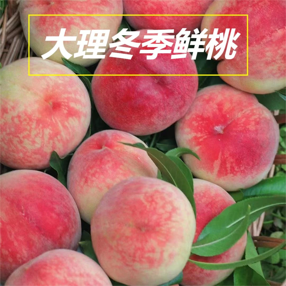 冬桃云南冬天鲜核桃冬蜜雪桃1-5斤现摘现发蒙阴蜜桃甜脆直发