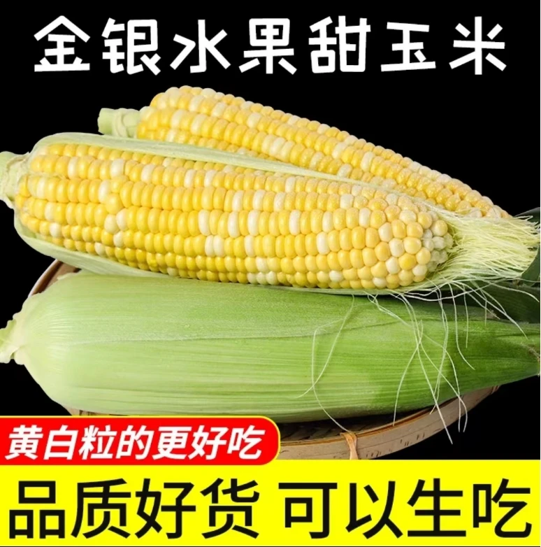 【 粉丝专享】云南新鲜金银水果玉米3/5/9斤甜脆包浆可以生吃