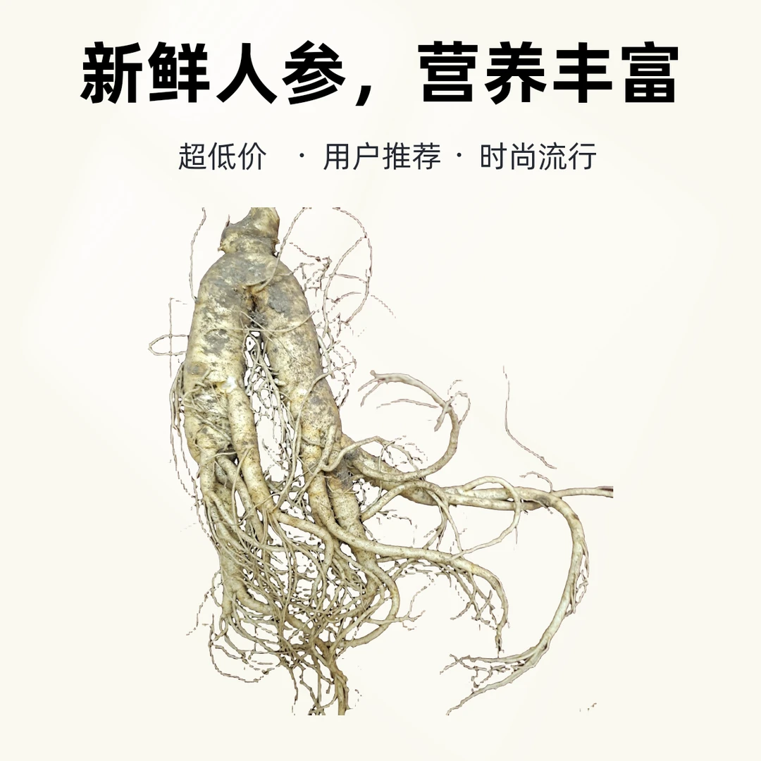 长白山新鲜人参煲汤炖鸡经济实惠包邮