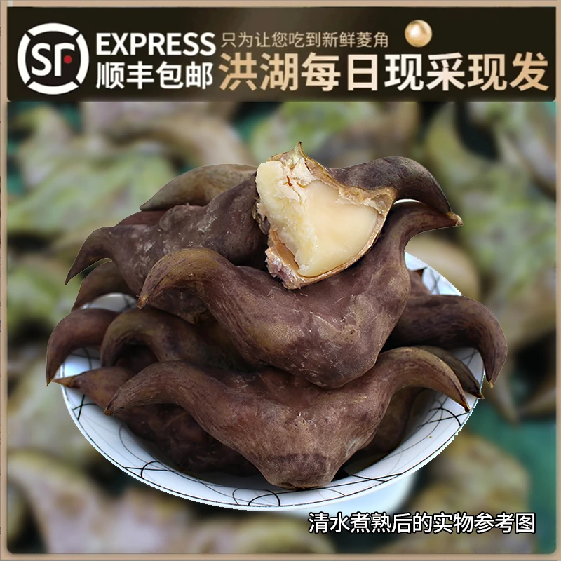 【华贵】新鲜洪湖菱角3斤/5斤