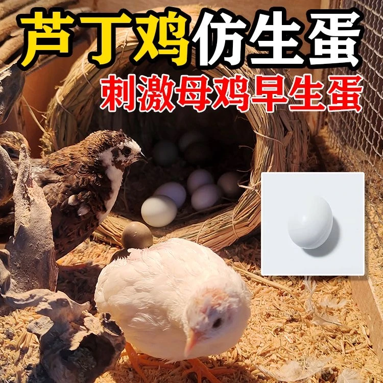 芦丁鸡仿真蛋蛋引子抱窝下蛋必备仿真蛋好用反复用