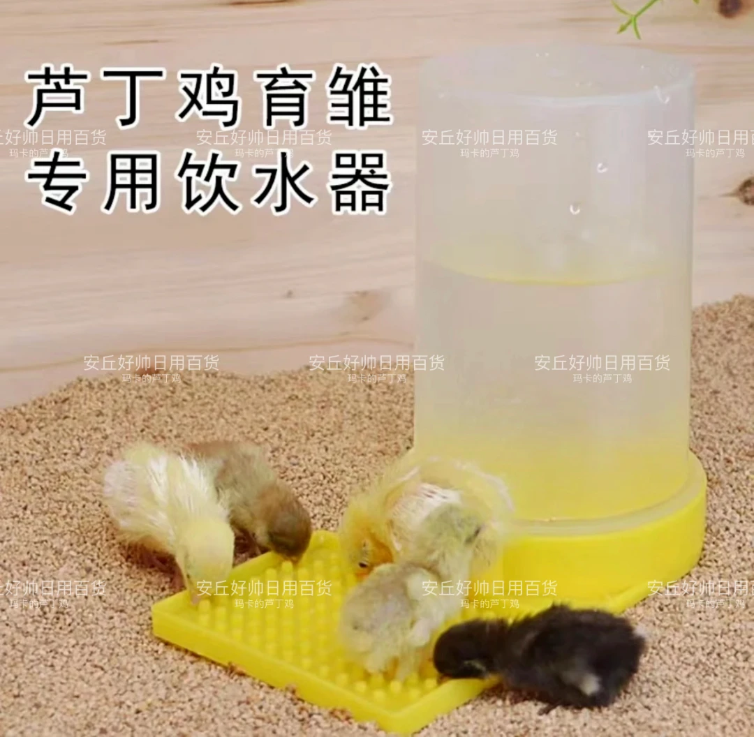 芦丁鸡育雏专用防溺水喂水器加大加厚防溺水大容量