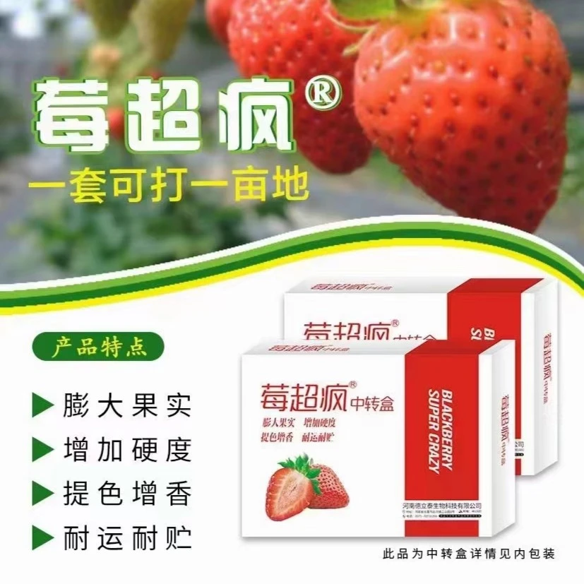 牧百果莓超疯膨大果实硬度好提色增香膨果亮果
