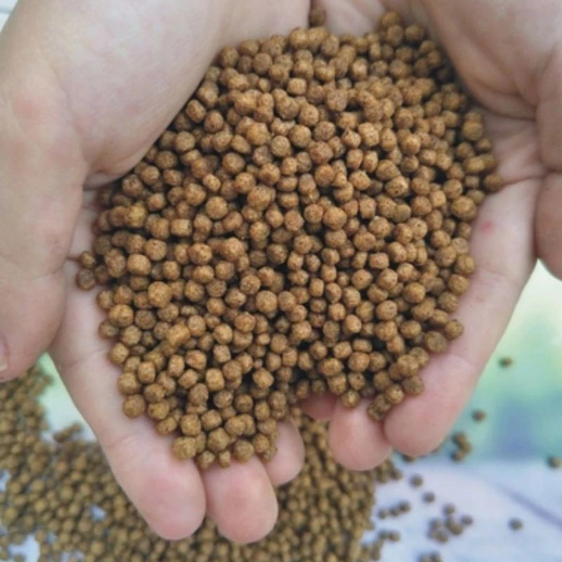 观赏金鱼中型饲料