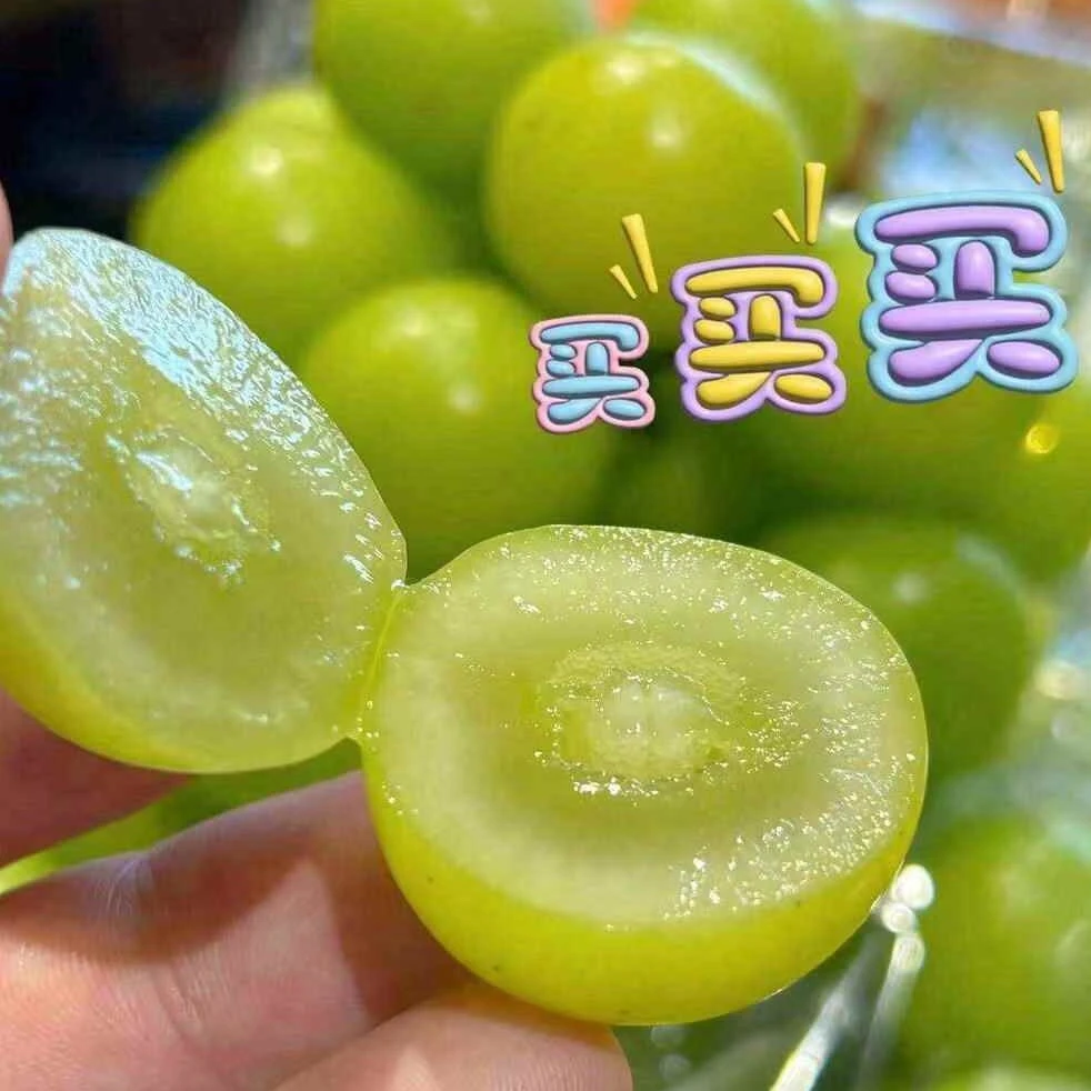 精品晴王阳光玫瑰