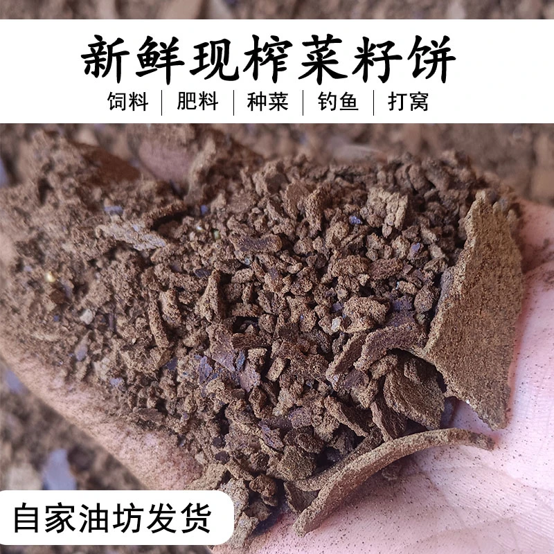 2KG新鲜农家自榨油菜渣菜籽饼粉钓鱼打窝料油枯
