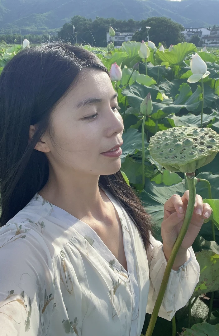 （石城白莲）2024去芯去皮白莲500g手工莲子240g煲汤特产干货