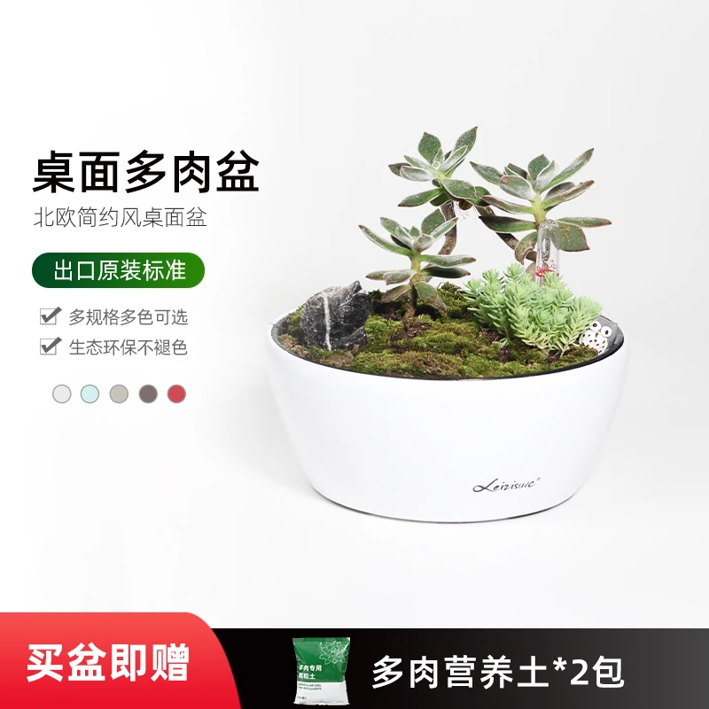 【直播】自动吸水花盆简约方形圆多肉仿陶瓷阳台大口径塑料懒人花盆