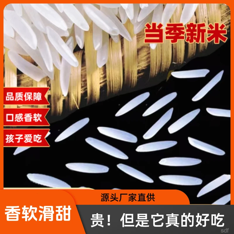 【月牙香米】一年一季 | 优质种植 | 大米 口感 清香 | 20/10斤