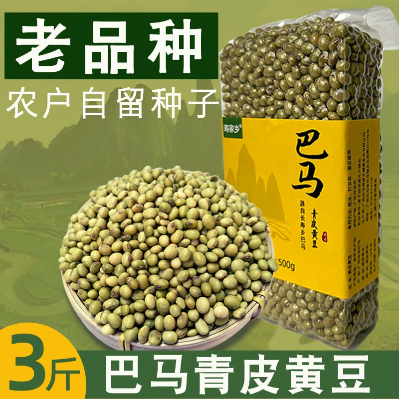 巴马本地青黄豆子打豆浆的豆25年新农家黄豆生黄豆新货磨豆浆3斤