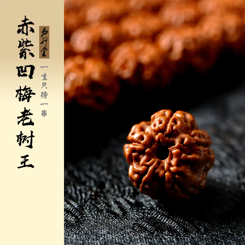 易行堂小金刚菩提手持赤紫凹梅五瓣树王文玩手串龙脊连贯单圈男女