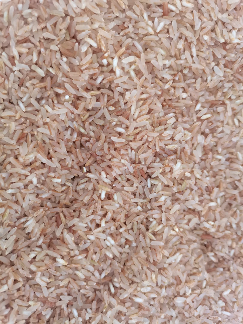 云南农家傣香山泉水红米/菇