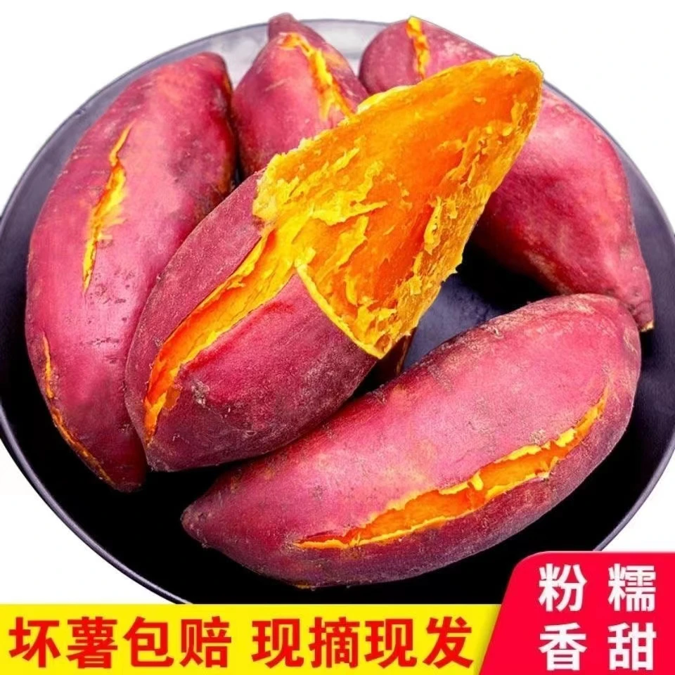沙地种植西瓜红蜜薯新鲜现挖软糯香甜皮薄番薯1/3/5/9斤食用红薯