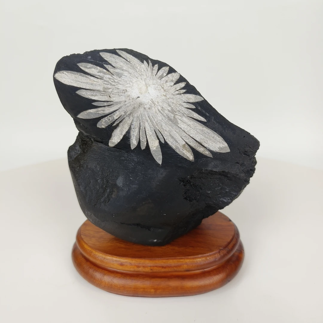 付米链接 精美菊花石纯手工小摆件 图片仅供参考