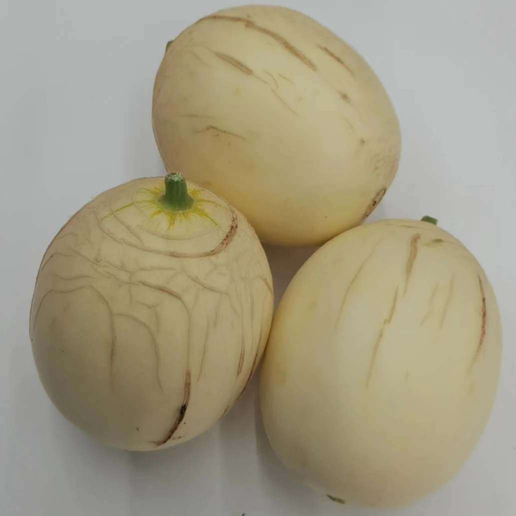 贾史庄天蜜甜瓜 自然成熟香甜绵密