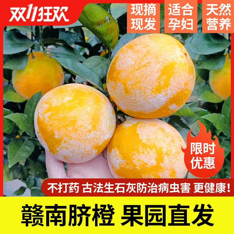 【赣南脐橙石灰橙10斤装】正宗江西赣南脐橙龙勾石灰橙果园现发