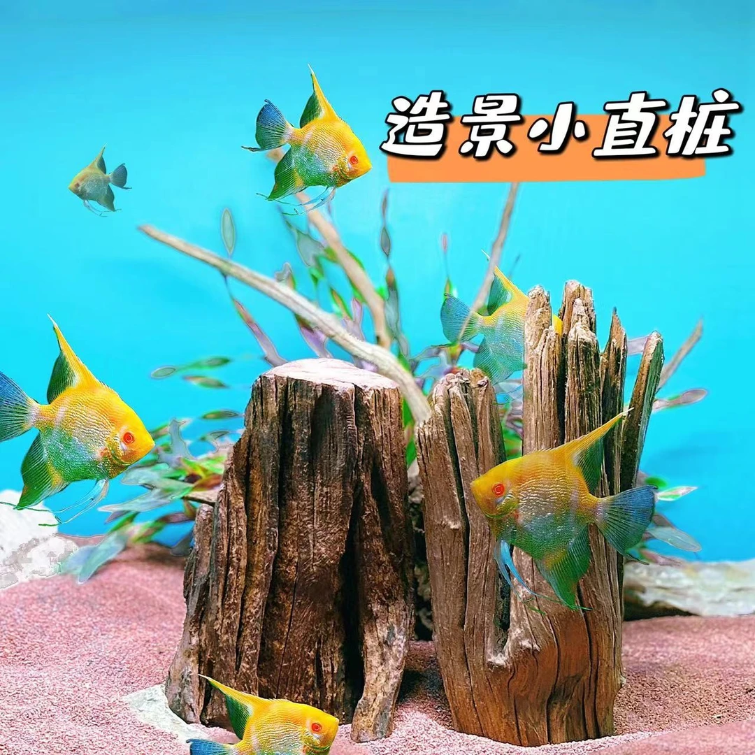 造景小直桩2个随机发天然紫柚木沉木鱼缸造景装饰小缸神器