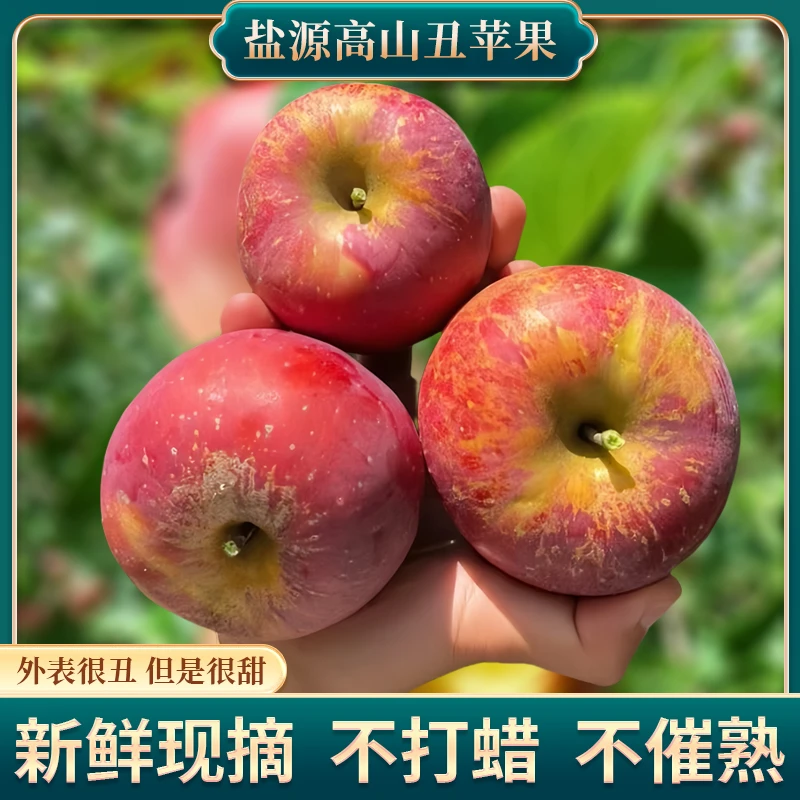 四川大凉山盐源高山丑苹果产地发实惠现摘新鲜水果当应季精选