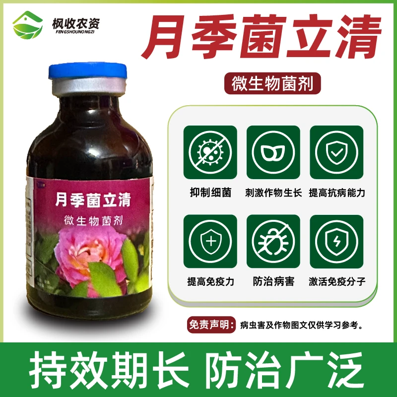 月季专用杀菌剂菌立清微生物菌剂预防病害正品厂家花卉绿植蔷薇