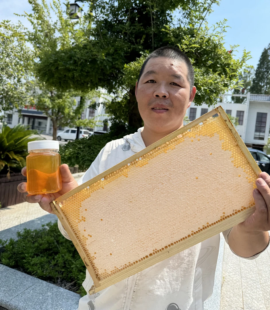 农家土蜂蜜 500g/罐 百花蜜