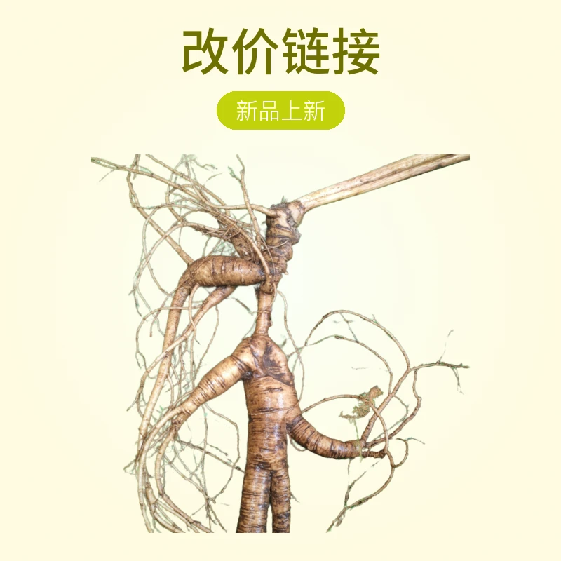 东北长白山林下鲜山参泡茶泡酒营养滋补，改价链接，一物一拍
