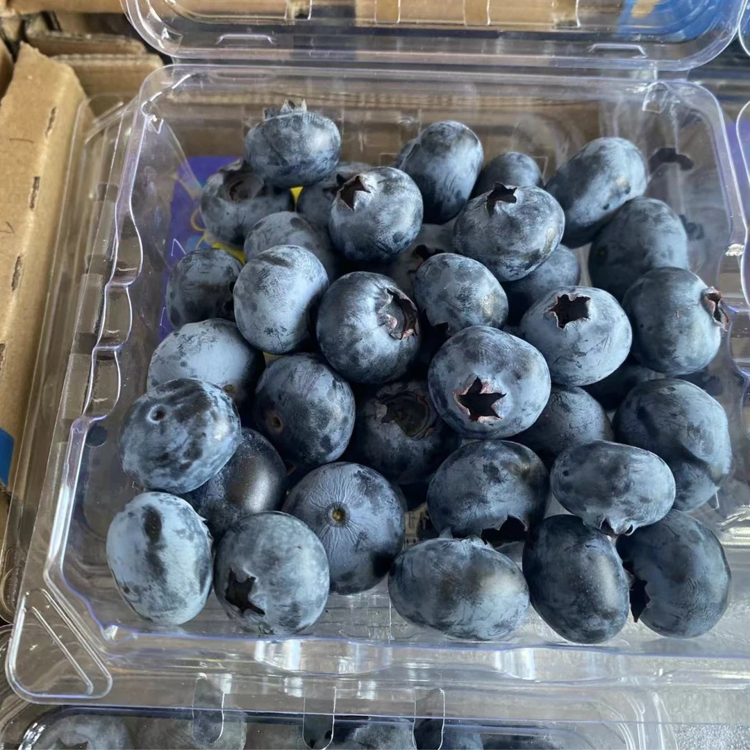 【怡颗莓】云南当季限量蓝莓18+【12盒箱装】【A级】