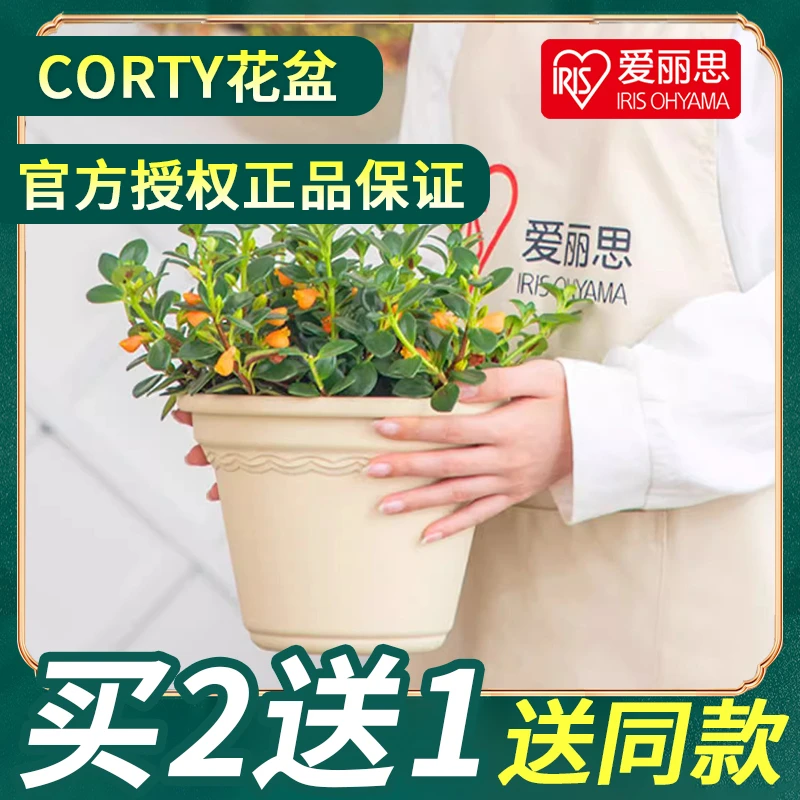 爱丽思蛋糕杯情绪稳定控根树脂加仑盆月季绣球绿萝爱丽丝塑料花盆