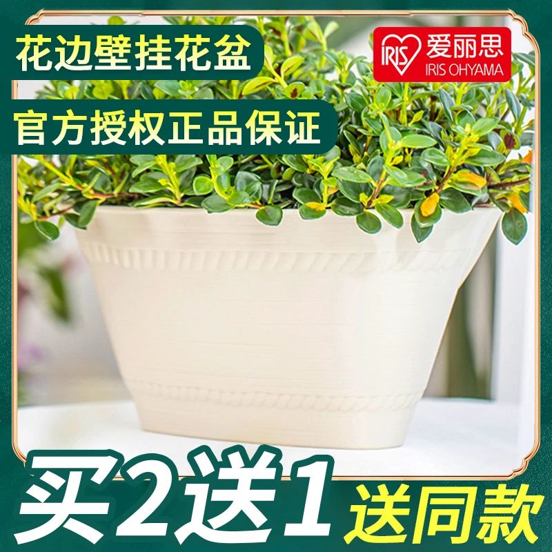 爱丽丝壁挂花盆爱丽思树脂悬挂墙壁特价阳台挂钩植物绿萝懒人吸水