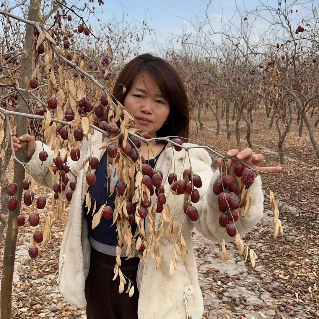 新疆喀什麦盖提，灰枣爷爷，颗大饱满，皮薄肉厚（5斤）