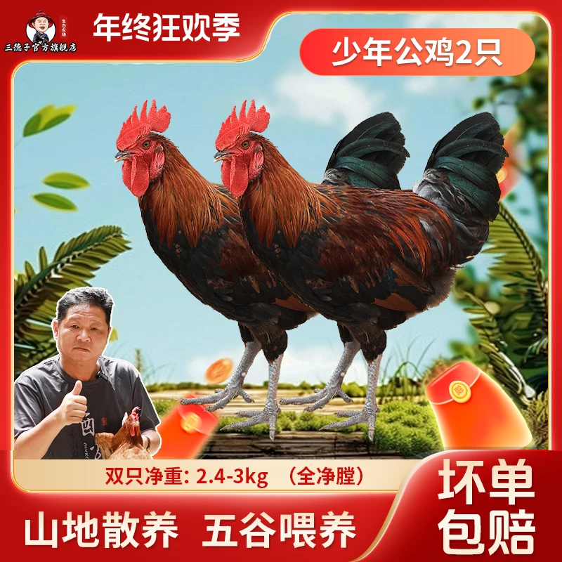 三德子 【孩子爱吃 】少年公鸡2只山地散养土鸡新鲜 包冰率10%以内