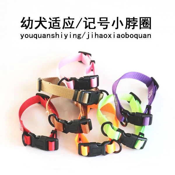 幼犬区分记号脖圈项圈小狗适应脖圈宠物狗脖圈项圈狗绳狗链牵引绳