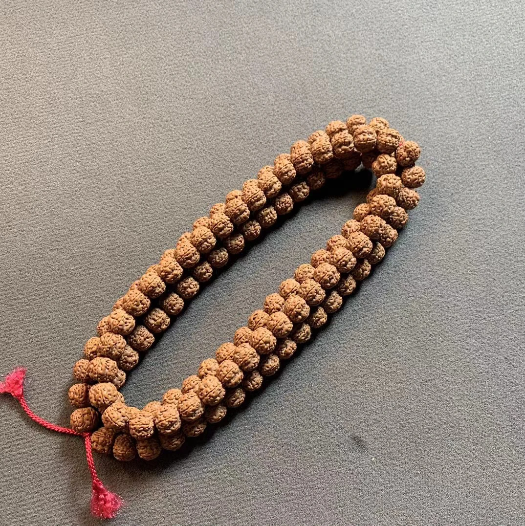 纯血一代【老树梅花】小金刚菩提