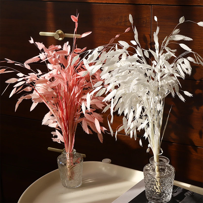 永生花小盼草干花花束配草仿真花鲜花花束材料手工diy装饰资材