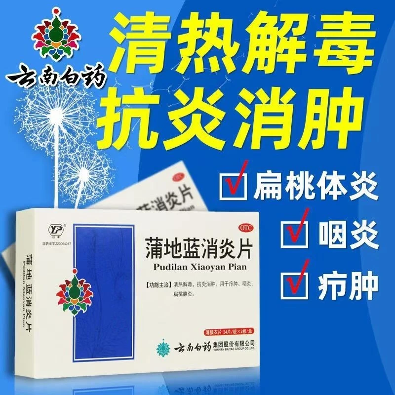 云丰 蒲地蓝消炎片 0.3g*48片