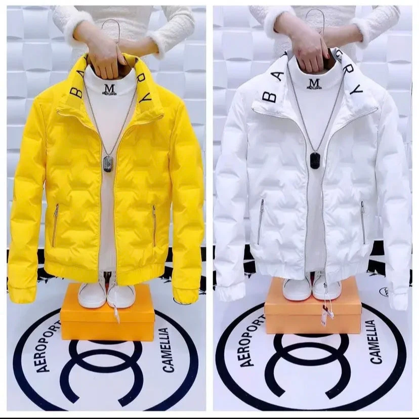 冬季新款男士时尚羽棉服外套韩版修身纯色立领百搭免洗保暖棉衣男