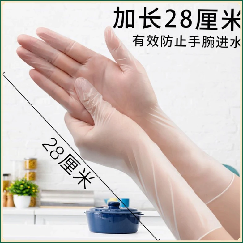 一次性PVC加长手套防水防油家用卫生外出防护A级餐饮乳胶橡【鲲鹏】
