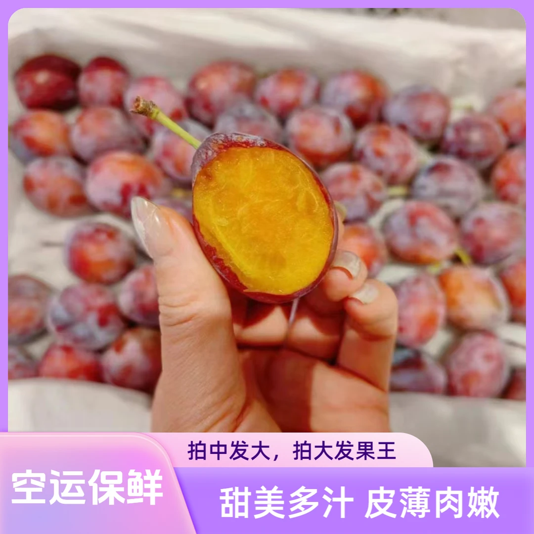 正宗新疆法兰西西梅新鲜3斤新疆水果当季孕妇特产整箱甜李子鲜果