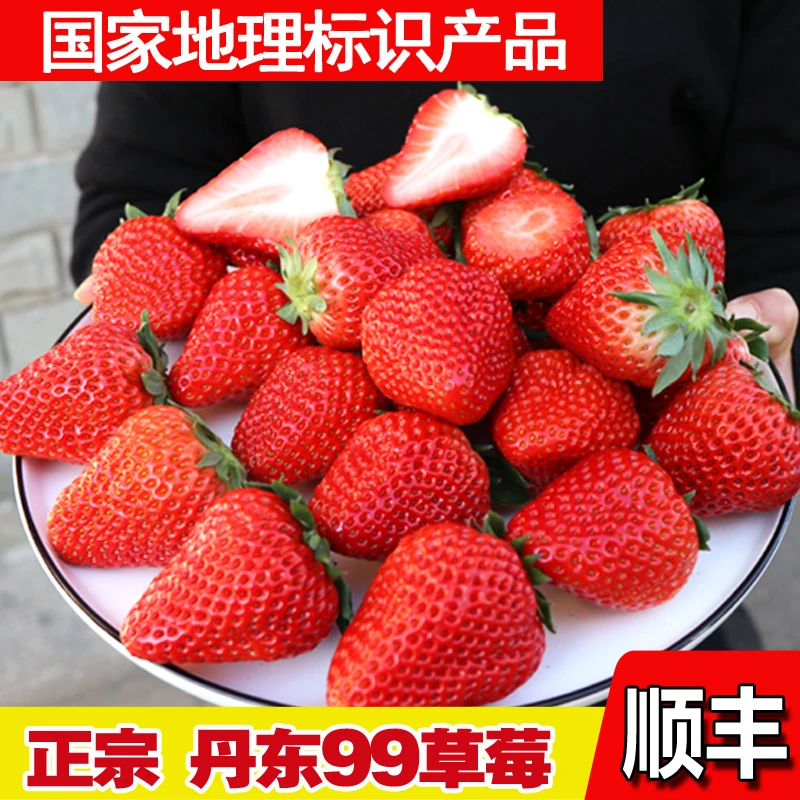 【顺丰包邮】 产地直发正宗丹东九九草莓500g起新鲜红颜奶油草莓
