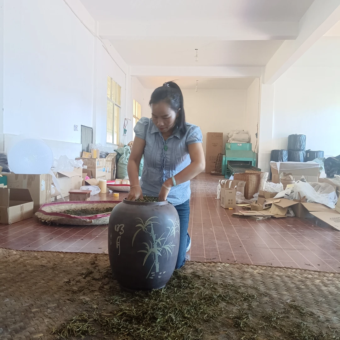 景迈山古树【酸茶】【100克】口感酸甜香气浓郁、有助于消化的一款茶