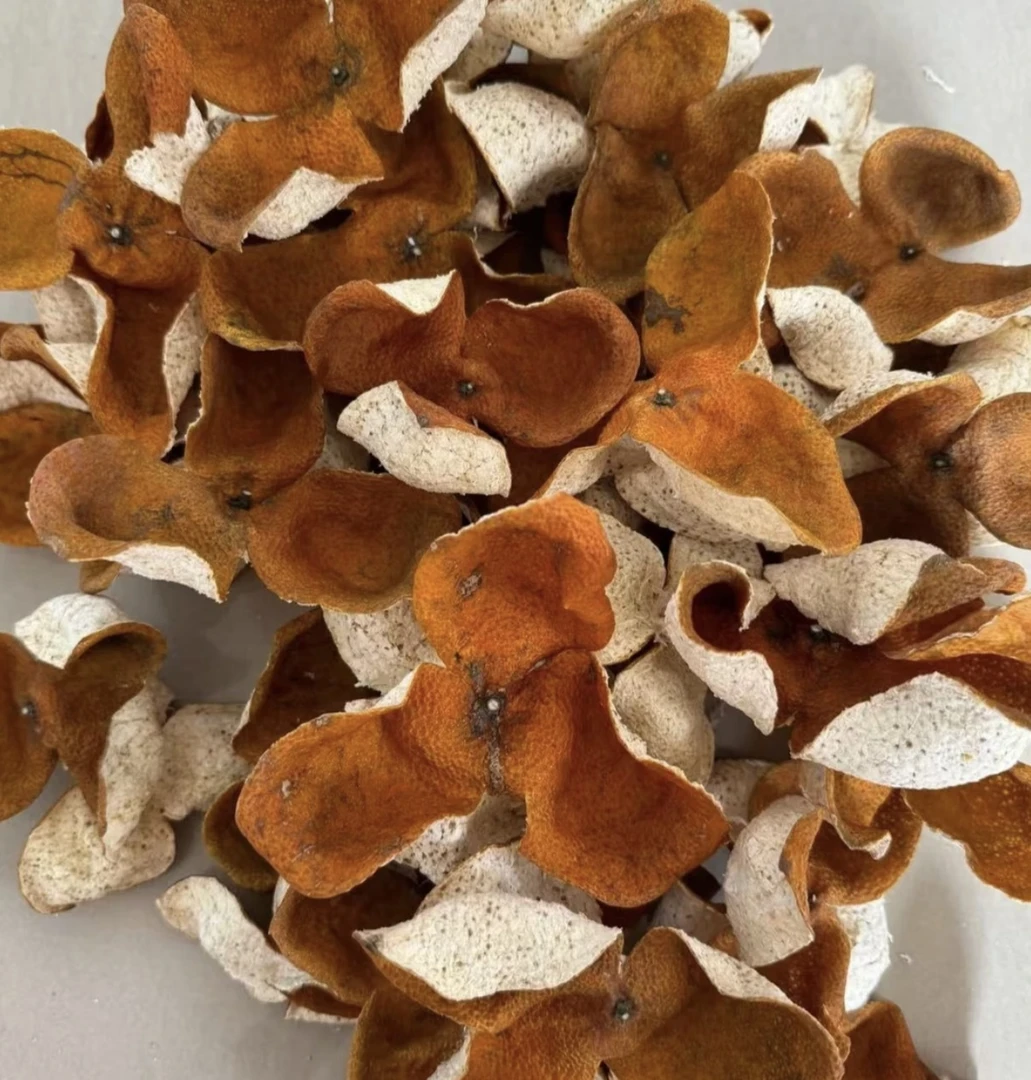 2024年 天马产区 冬后大红皮