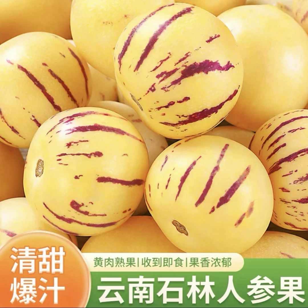 云南新鲜树熟人参果净重4.5斤单果50g起 白果坏果包赔