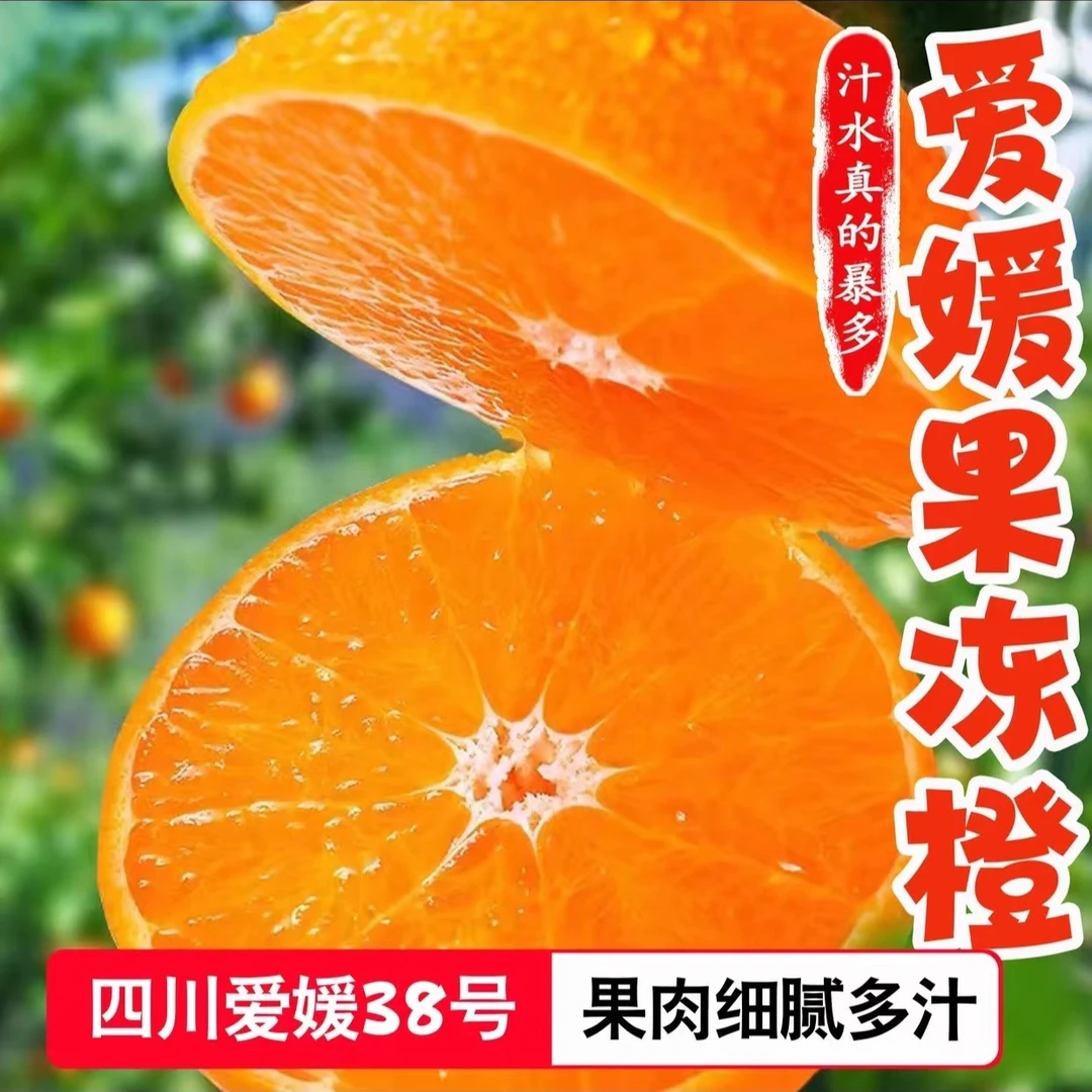 [坏果包赔]四川爱媛38号果冻橙5斤皮薄肉厚细腻现摘新鲜应季水果