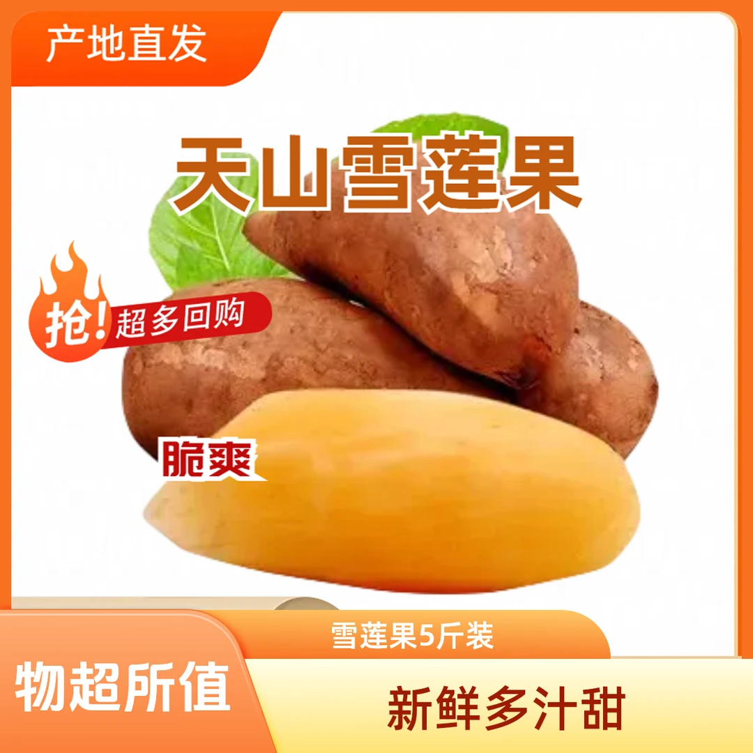 云南雪莲果清甜多汁脆嫩可口新鲜水果现挖发货5斤4-12个单果200g+