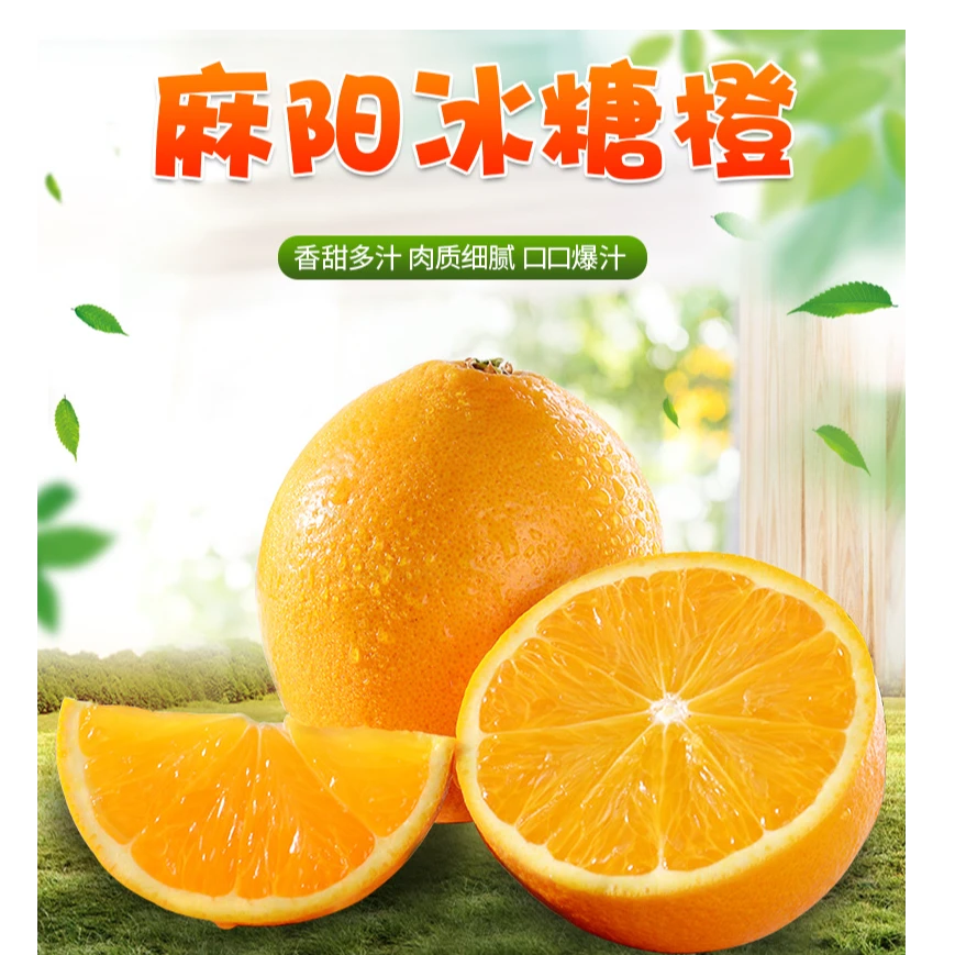 湖南麻阳冰糖橙新鲜水果当季小橙子手剥橙子5斤