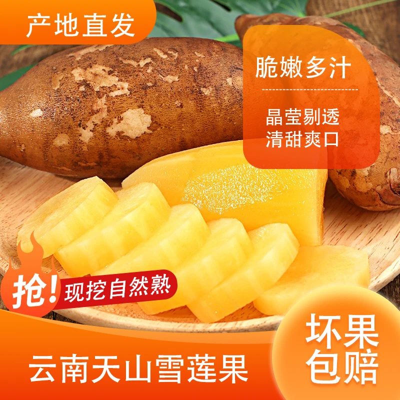 新鲜水果雪莲果当季现挖清甜精选5斤4-12个装