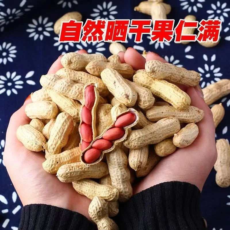新四粒红皮花生种子农家花生可吃可种带壳小花生自然晾干红衣花生