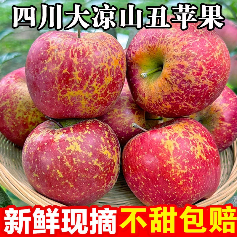 【专属】四川大凉山盐源糖心丑苹果新鲜水果脆甜多汁