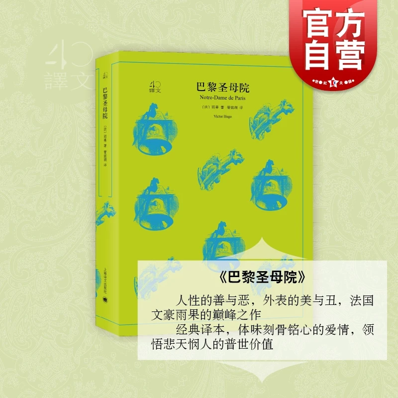 巴黎圣母院/译文40 (法)雨果 世界名著文学 巴黎圣母院 人性的善