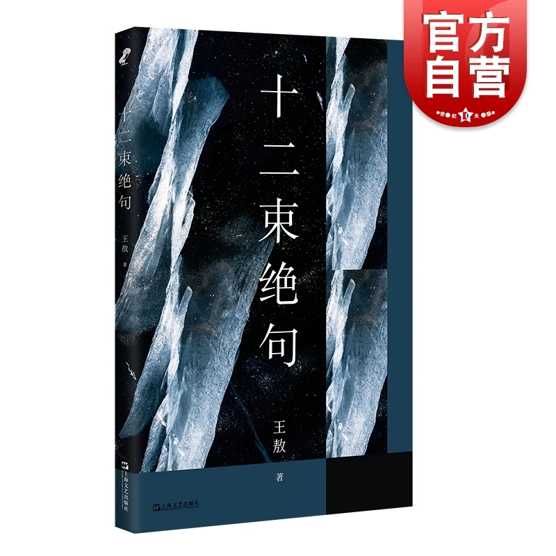 十二束绝句 王敖 上海文艺出版社